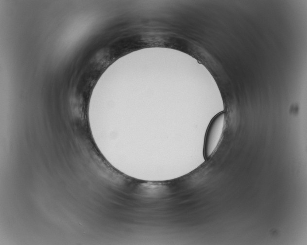 X0000113930477200910231925