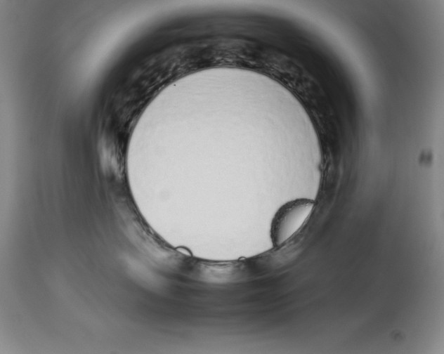 X0000113930479200910231926
