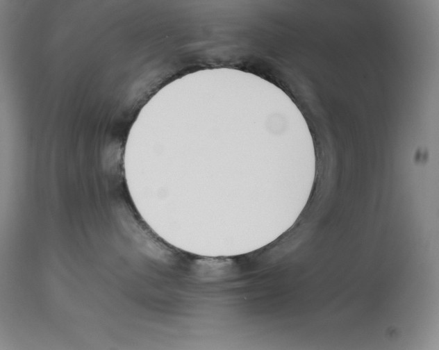 X0000113930480200910231926