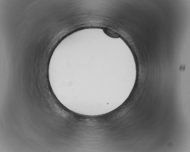 X0000113930481200910231925