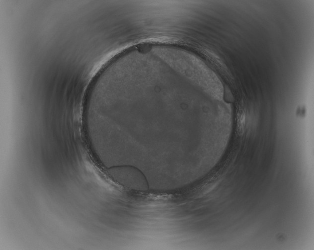 X0000113930484200910231925