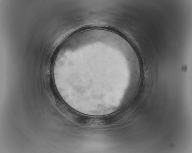 X0000113930487200910231925