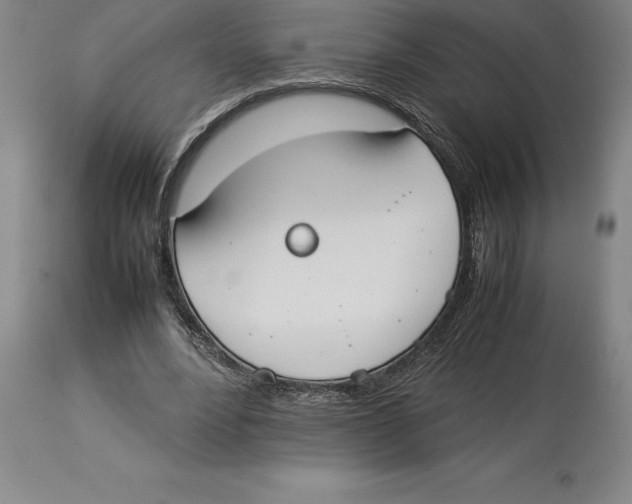 X0000113930488200910231925