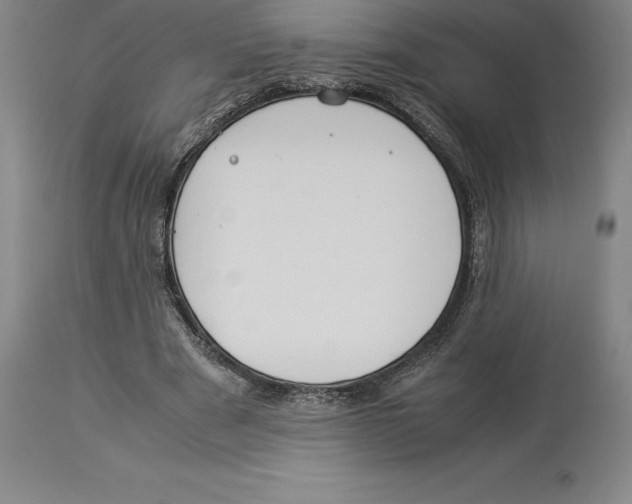 X0000113930489200910231925