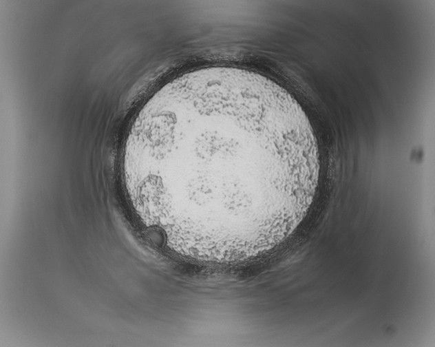 X0000113930491200910231925