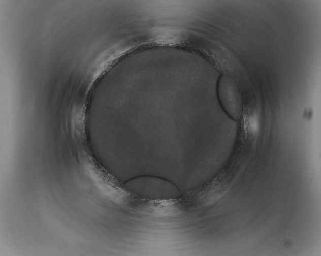 X0000113930492200910231925