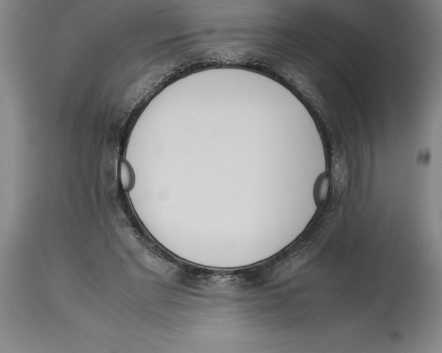 X0000113930493200910231925