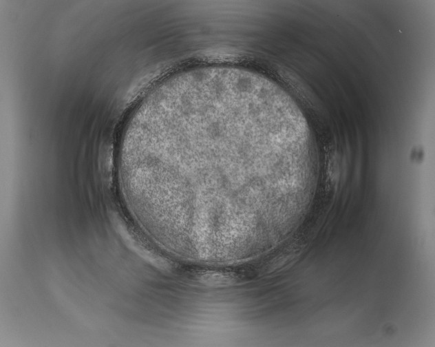 X0000113930494200910231925