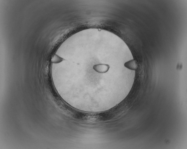 X0000113930495200910231924