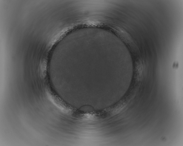 X0000113930496200910231924