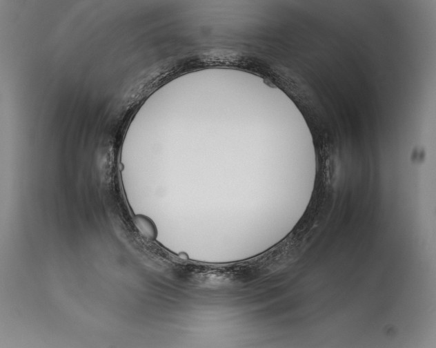 X0000113930498200910231924