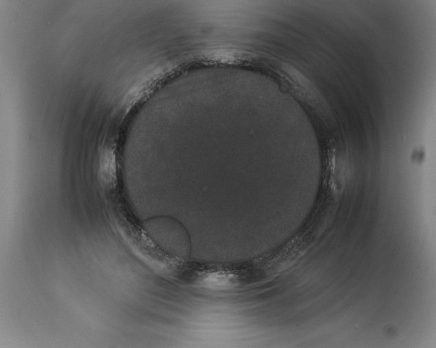X0000113930500200910231924