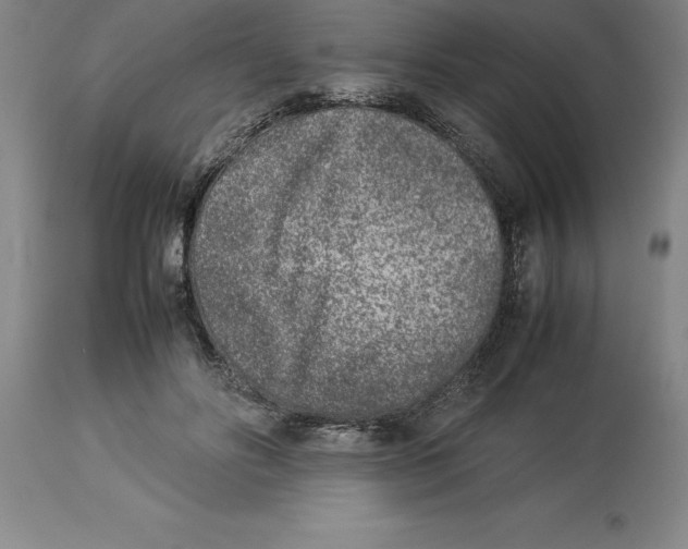 X0000113930502200910231924
