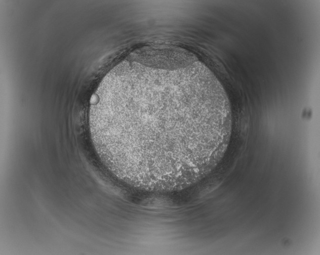 X0000113930503200910231924