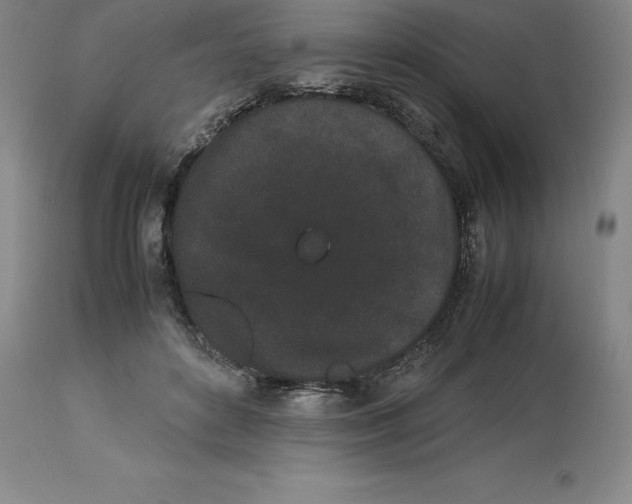 X0000113930504200910231924