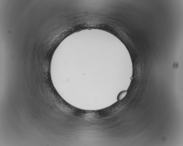 X0000113930505200910231924