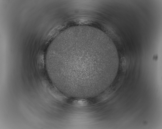 X0000113930506200910231924