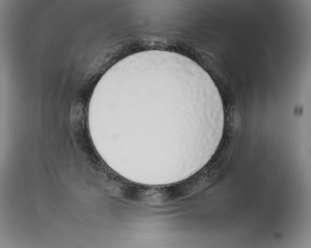 X0000113930511200910231924
