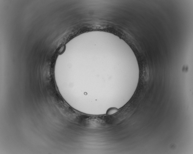 X0000113930512200910231924