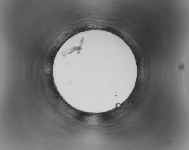 X0000113930513200910231924