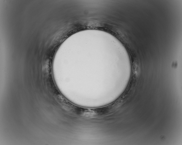 X0000113930519200910231924