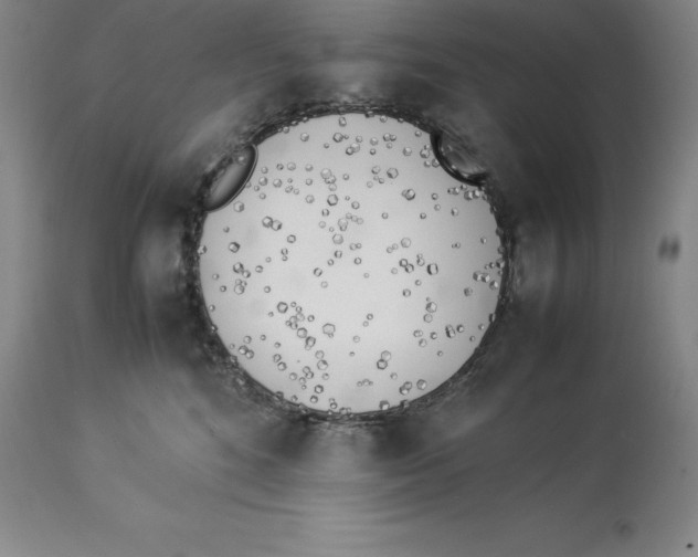 X0000113930520200910231924