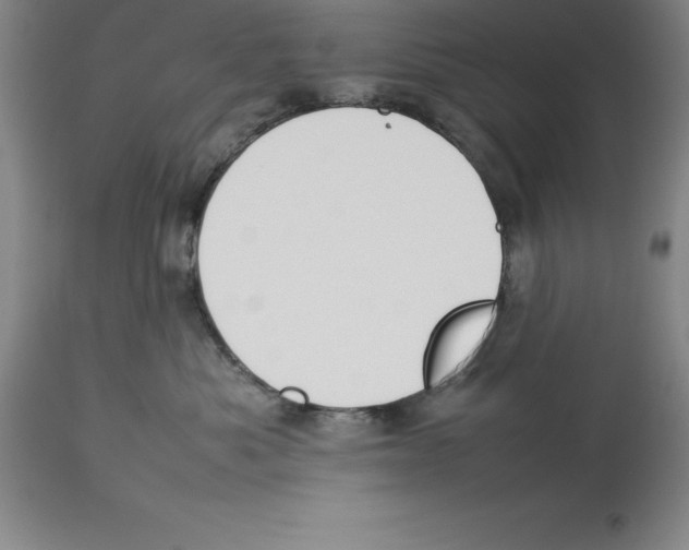 X0000113930525200910231924