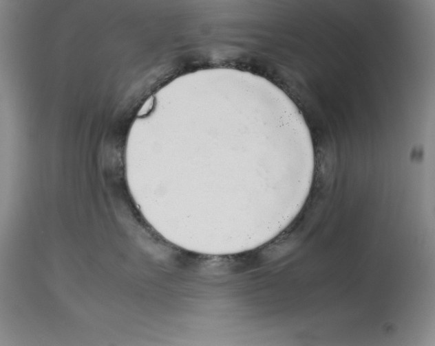 X0000113930527200910231924