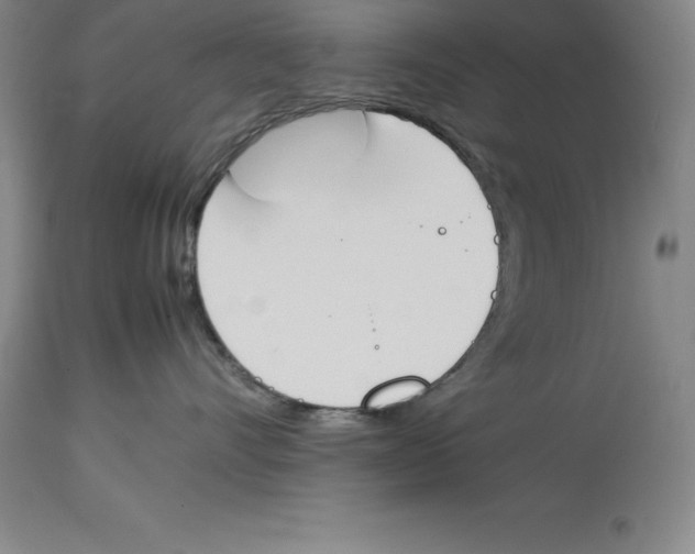X0000113930528200910231924