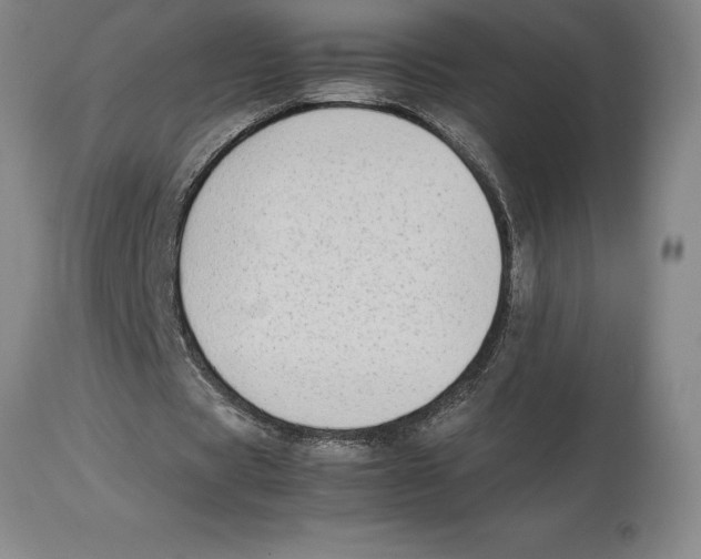 X0000113930529200910231923