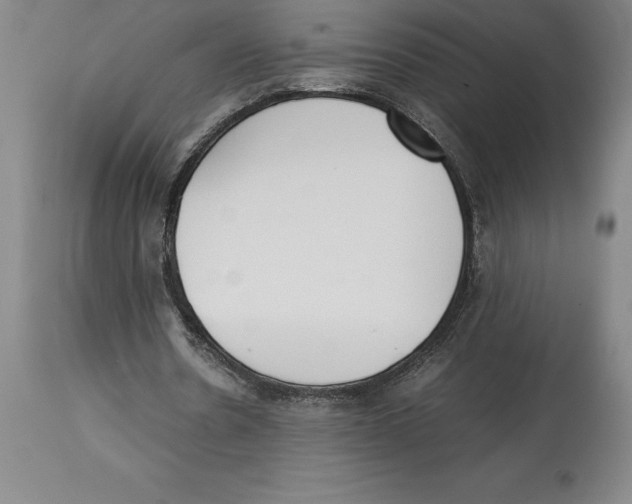 X0000113930530200910231923