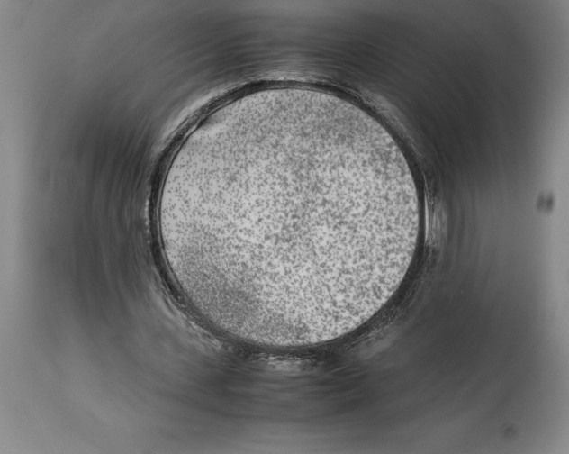 X0000113930531200910231923