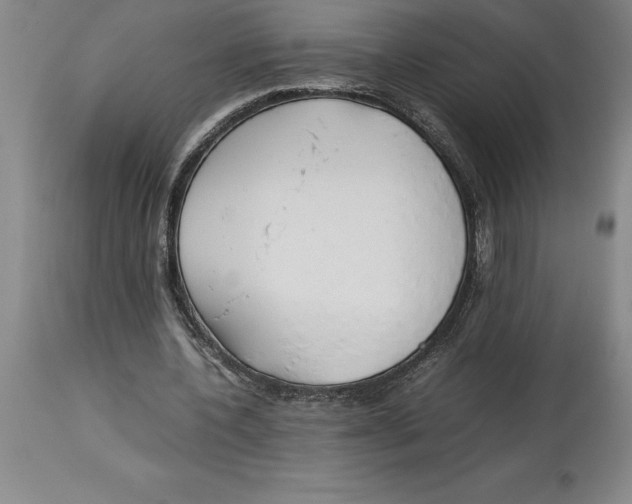 X0000113930532200910231923