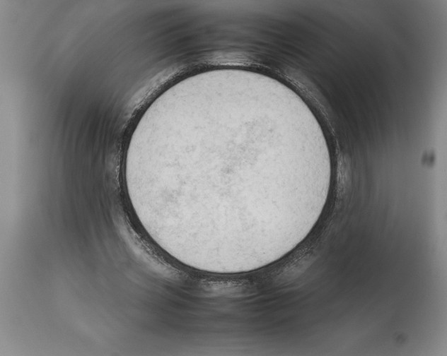 X0000113930533200910231923