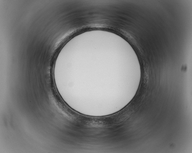 X0000113930535200910231923
