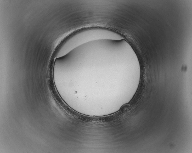X0000113930536200910231923