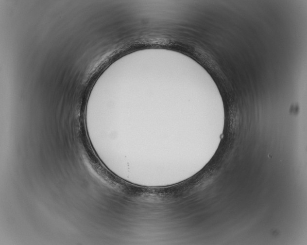 X0000113930538200910231924