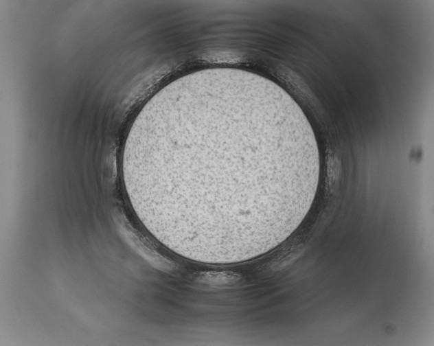 X0000113930541200910231924