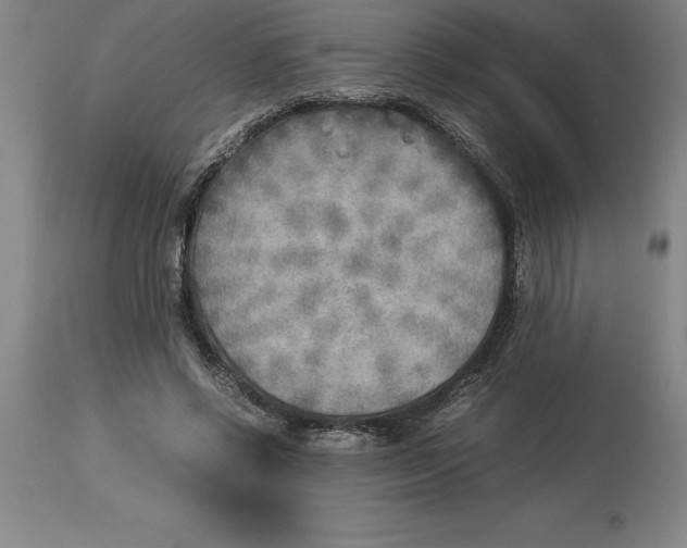 X0000113930542200910231924
