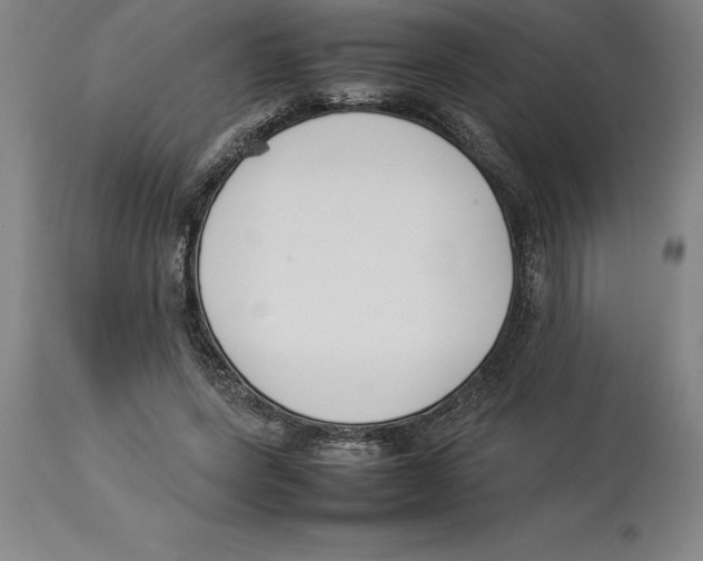 X0000113930543200910231924