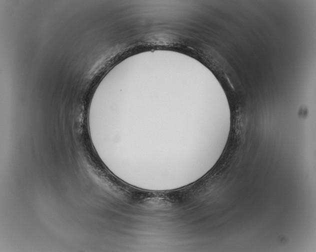 X0000113930544200910231924