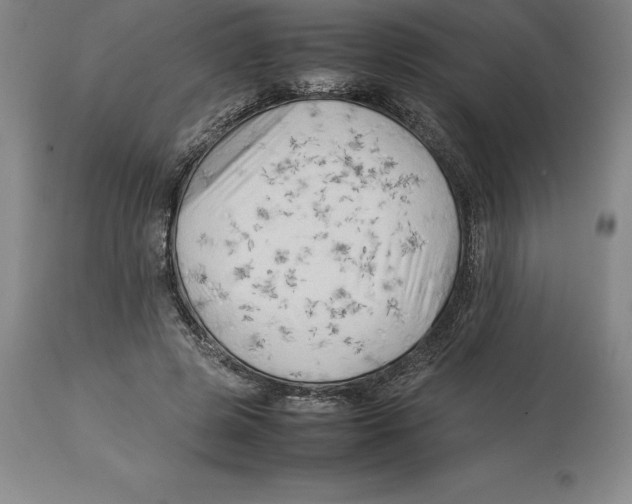 X0000113930545200910231924