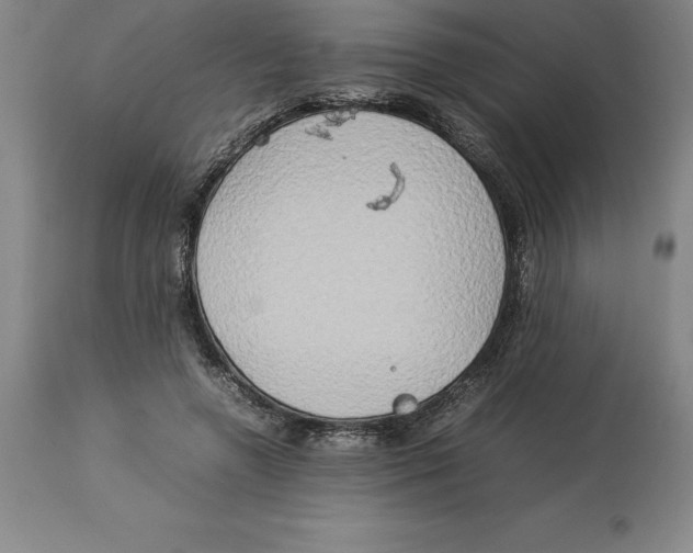 X0000113930546200910231924