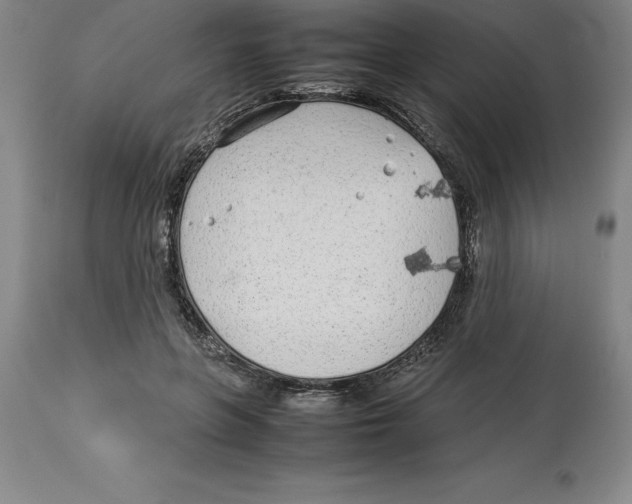 X0000113930551200910231924