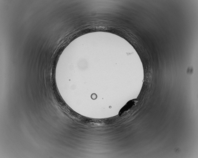 X0000113930552200910231924