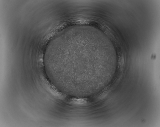 X0000113930553200910231924