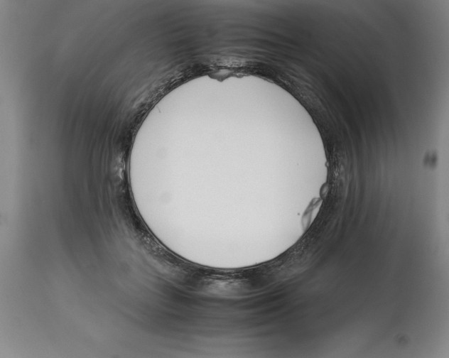 X0000113930555200910231924