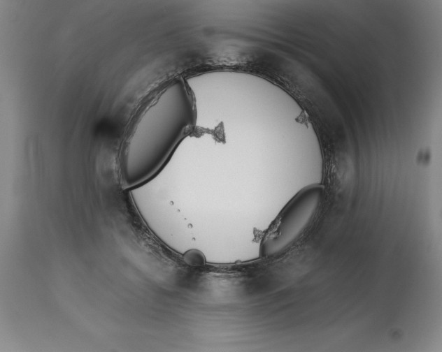 X0000113930556200910231924