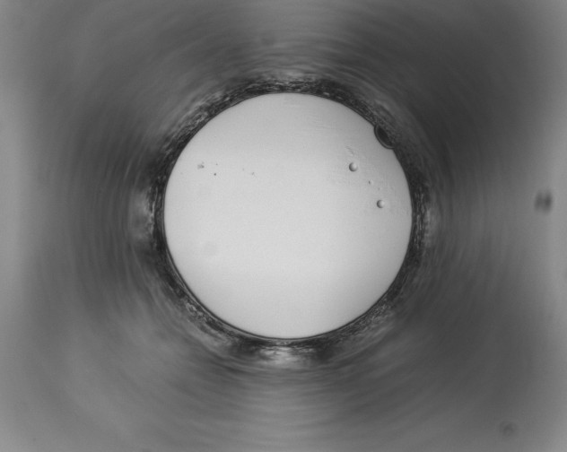 X0000113930558200910231924