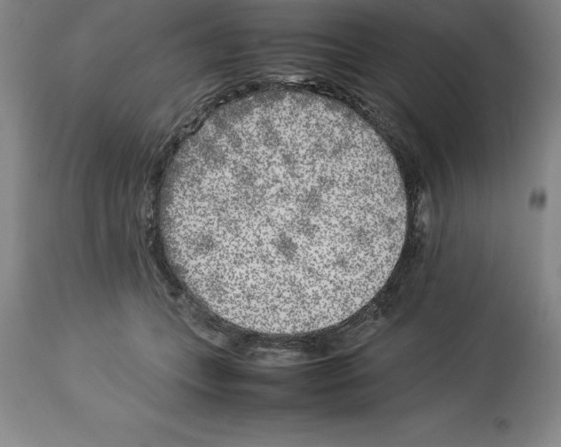 X0000113930559200910231924